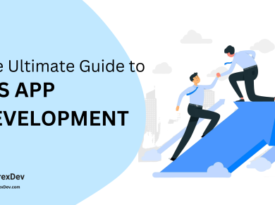 The Ultimate Guide to iOS App Development